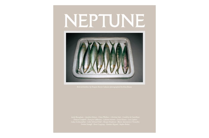 NATION-BTR-Build-to-Rent-Renting-Inside-Magazines=5