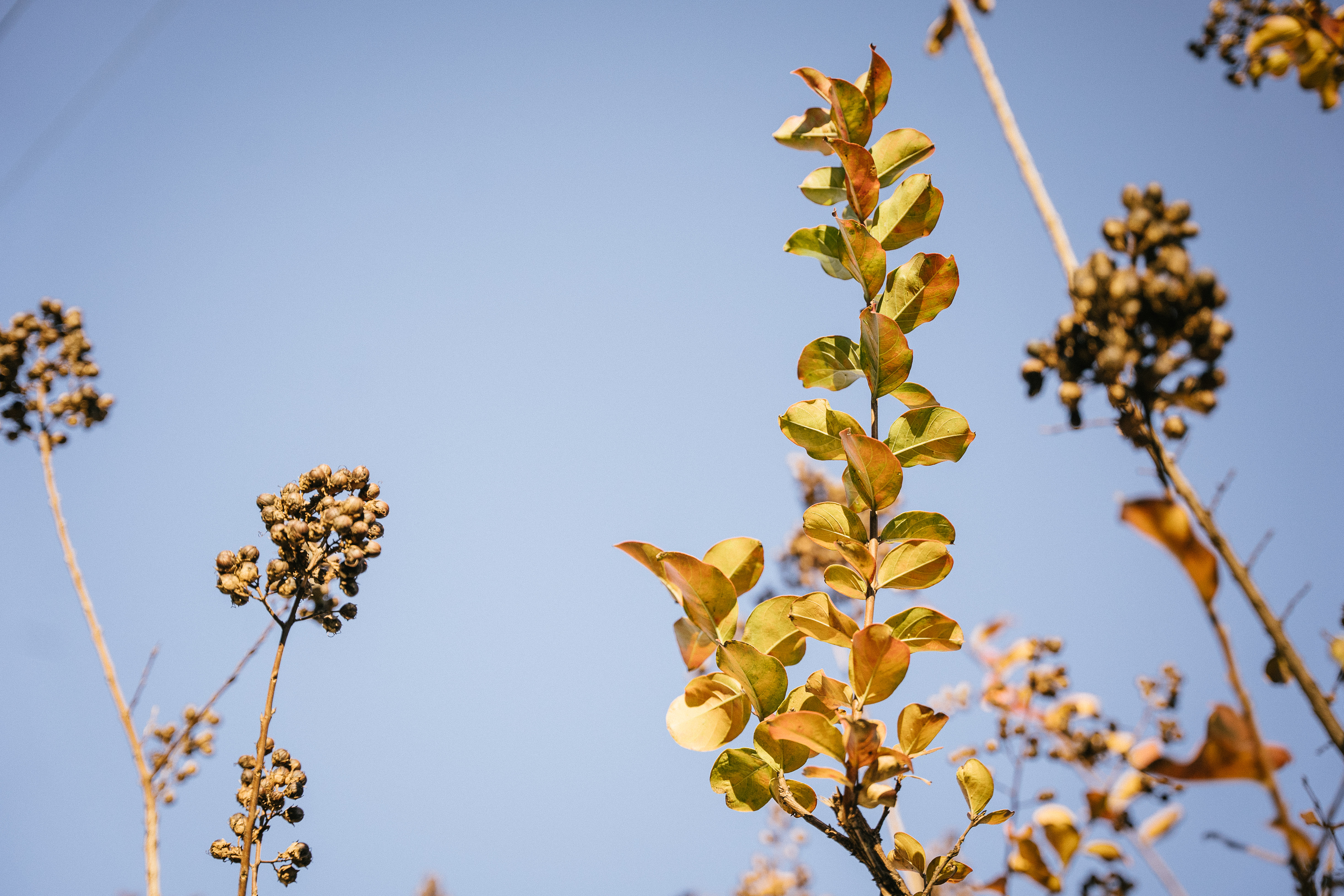 Natural beauty surrounds Ashbury