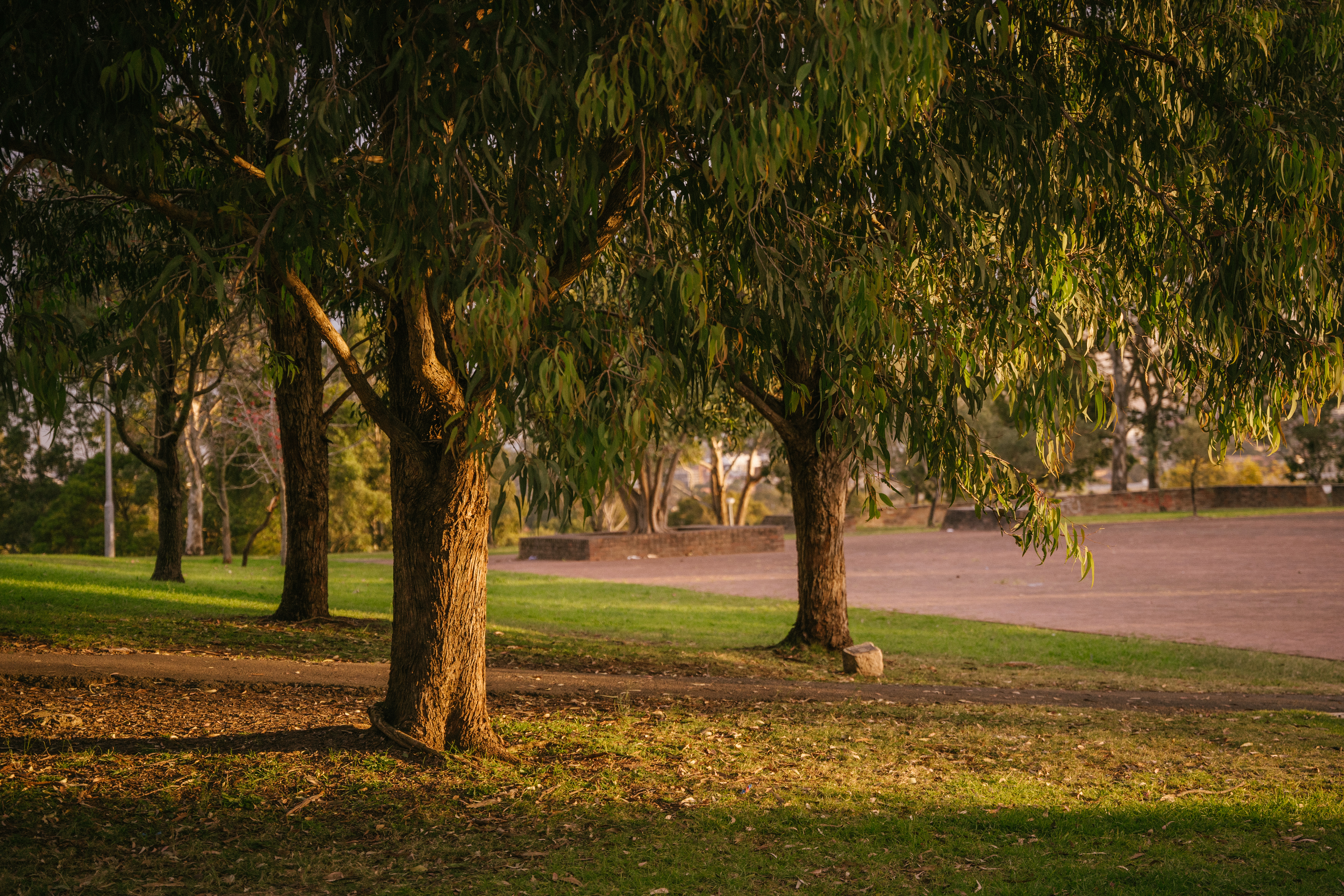 Peace Park offers the perfect place to relax and reflect