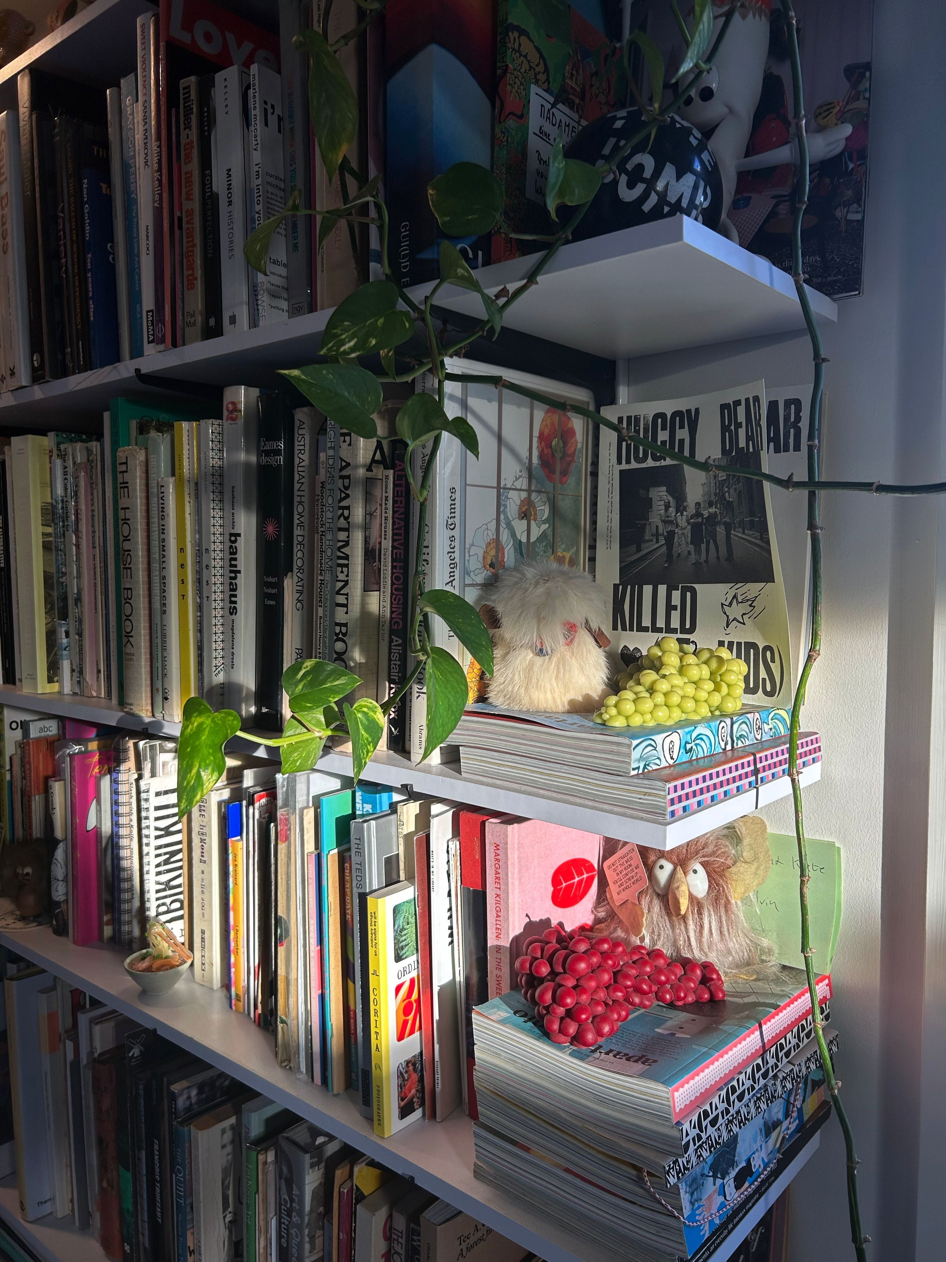 NATION-BTR-SYDNEY-RENTAL-KATE-JINX-HOME-4
